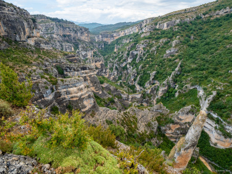 20190807-1507-493-HDR.jpg