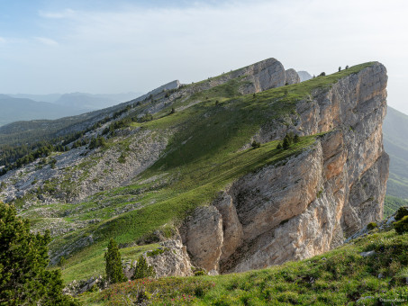 20210620-0853-32_DxO.jpg