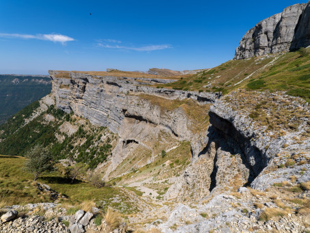 20260802-1225-121.jpg