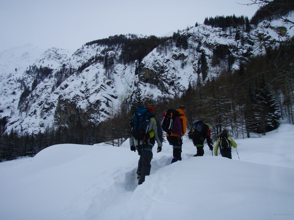 20090126-1058-3.jpg