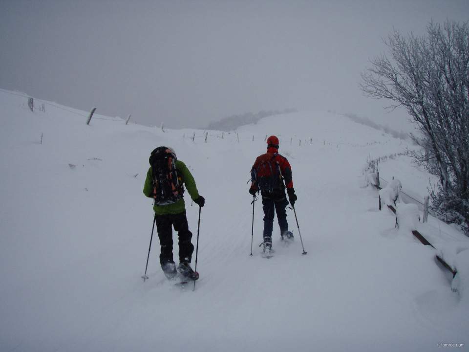 20100109-1649-101.jpg