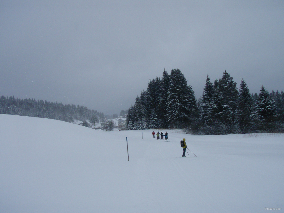 20100130-1340-2.jpg