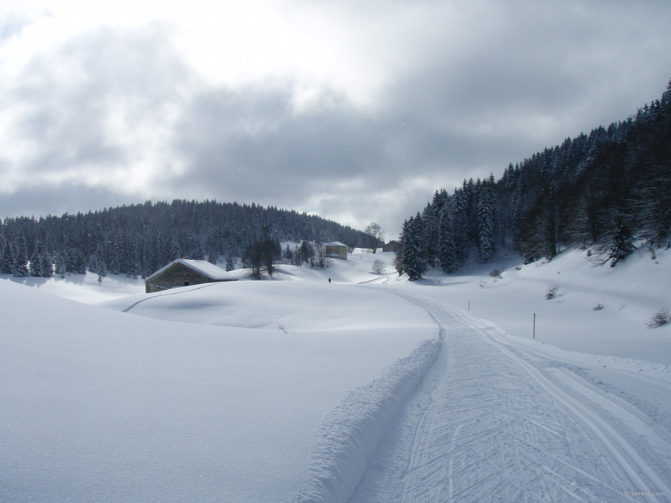 Piste de ski de fond.