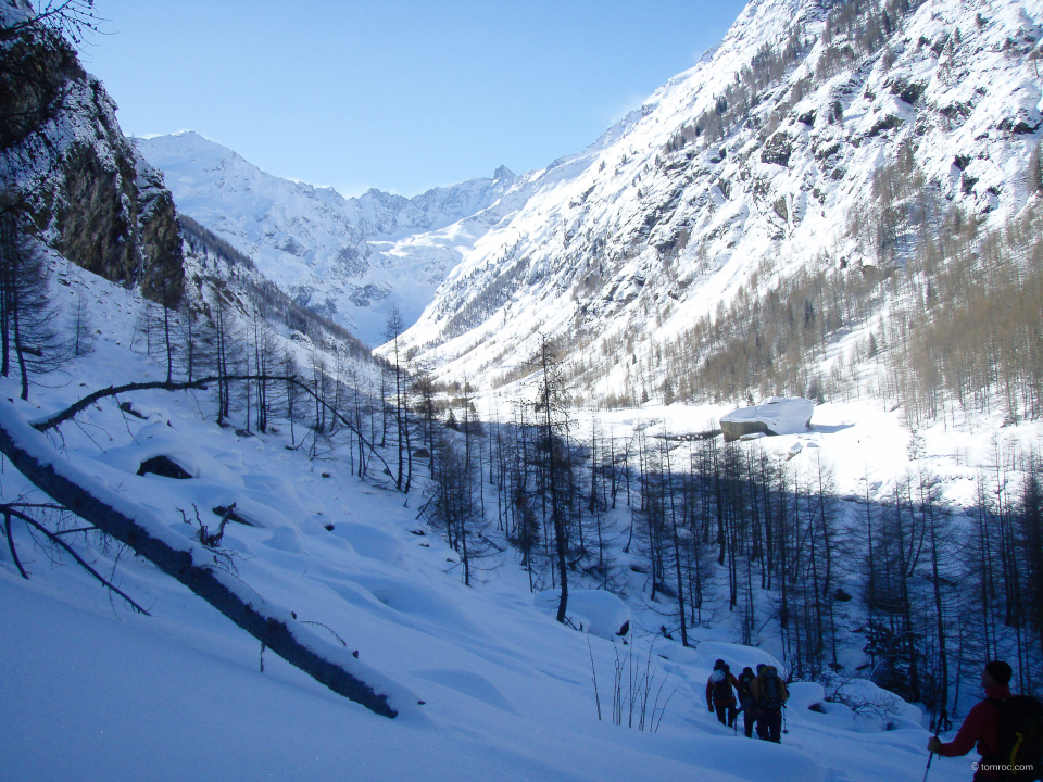 20100220-1109-7.jpg