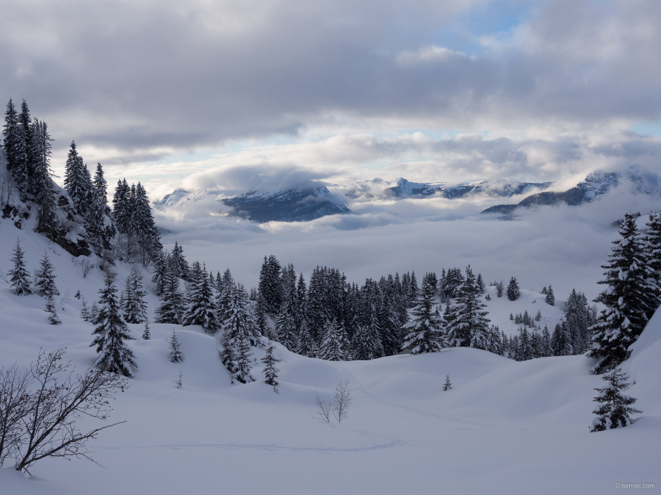 20130113-1604-72.jpg