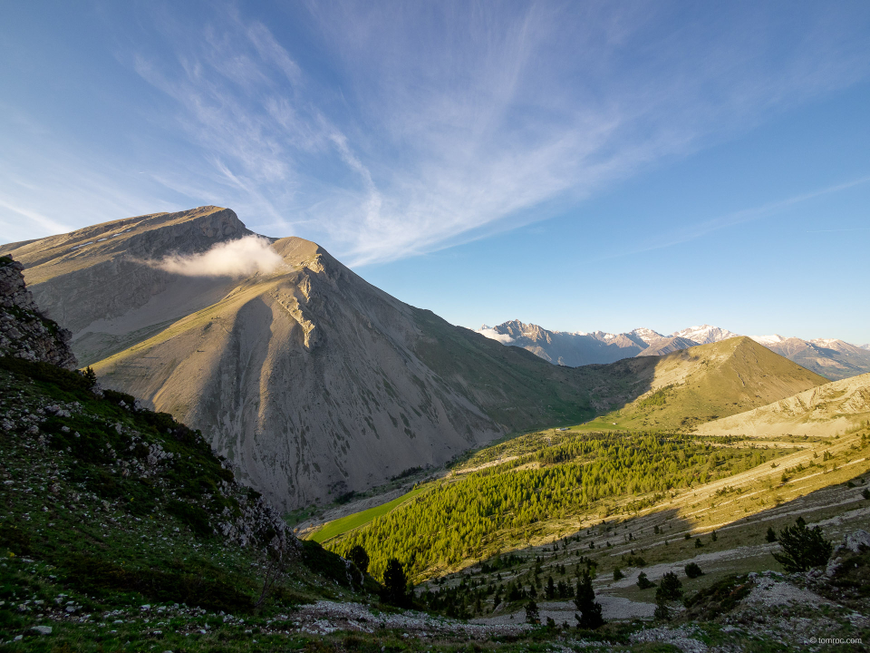 20150509-1955-374.jpg