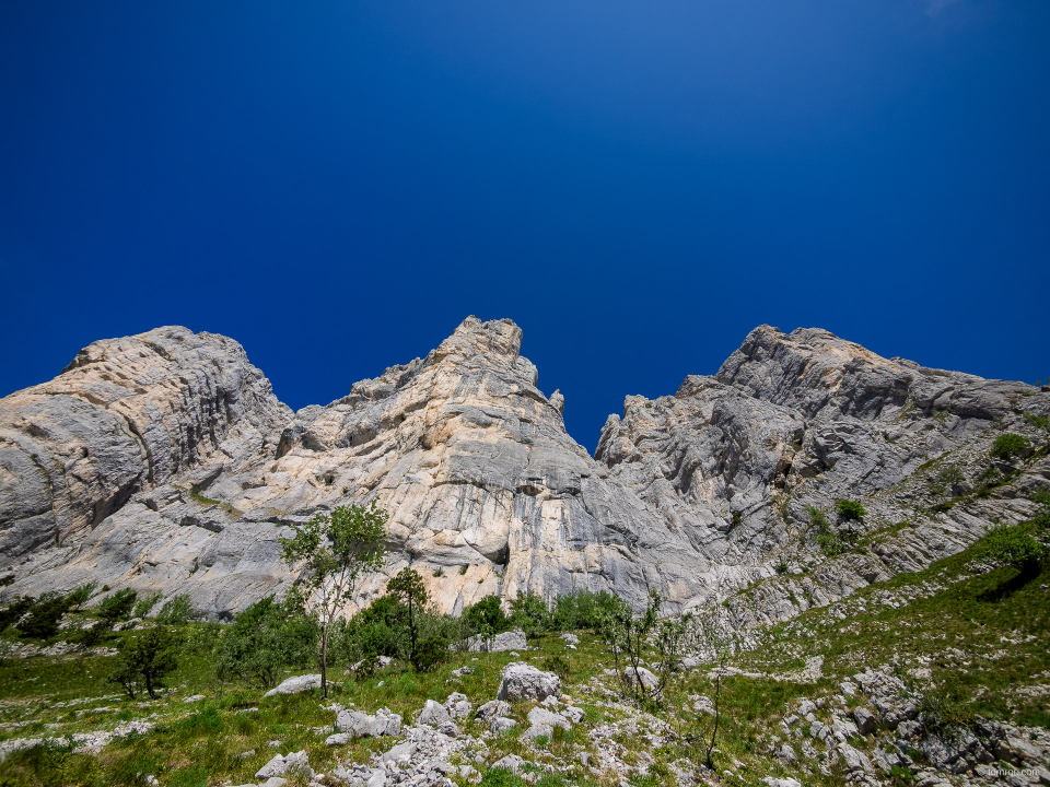20150715-0955-21.jpg