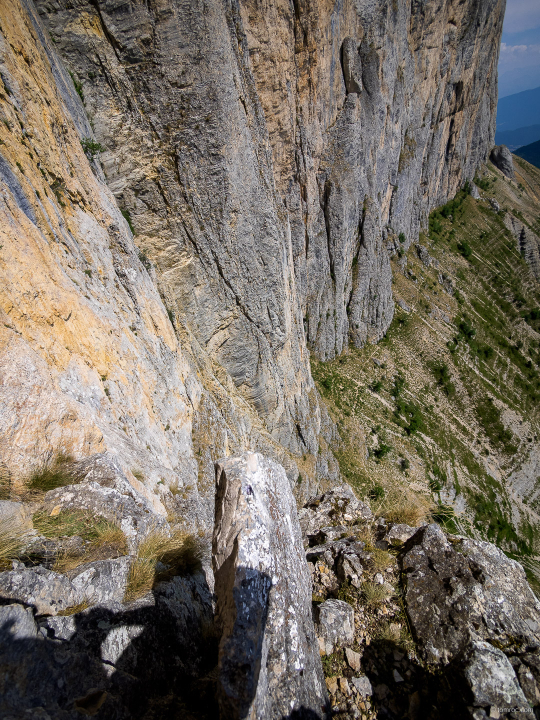 20150716-1153-82.jpg