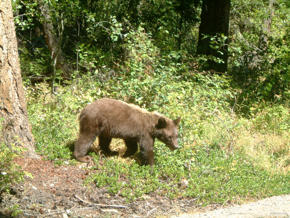 ADSCF0116.jpg